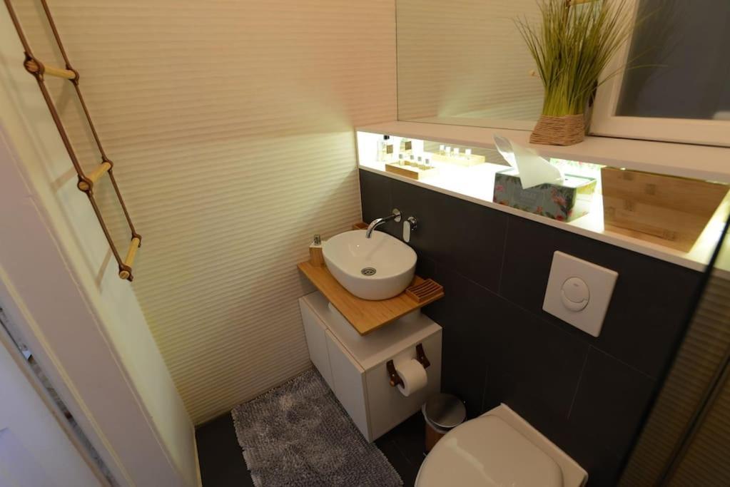 No.8: Lovely & Cosy 3-Room Heart Of The City Τιμισοάρα Εξωτερικό φωτογραφία