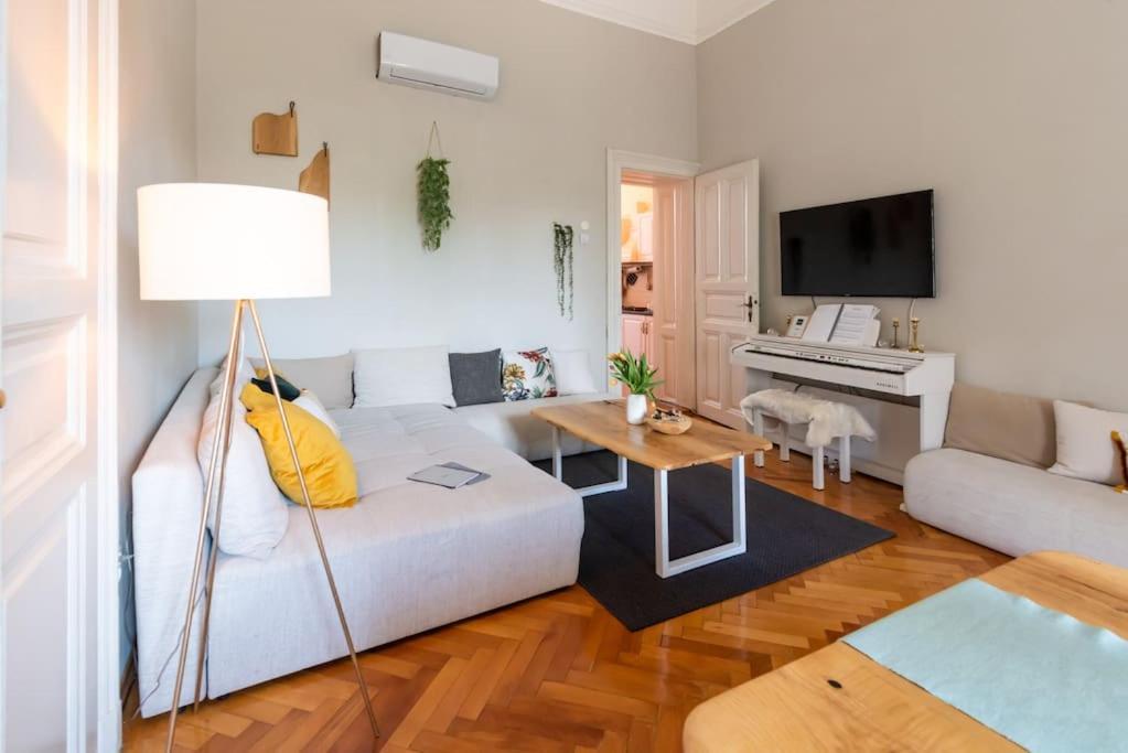 No.8: Lovely & Cosy 3-Room Heart Of The City Τιμισοάρα Εξωτερικό φωτογραφία